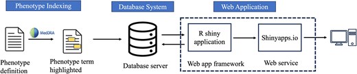 Overview of knowledgebase application for phenotype definitions-related sentences.