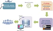 A schematic workflow of data collection and database integration for CobVar...