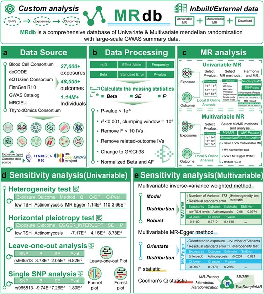 The systemic overview of MRdb. (a) MRdb integrates 12 types of exposure data, including eQTL genes, plasma proteins, and metabolites, alongside 48 507 disease outcomes from GWAS datasets such as FinnGen R10 and the IEU Open GWAS Project. (b) Data preprocessing includes handling missing statistics, harmonizing datasets, normalizing allele frequencies, and selecting valid instrumental variables to ensure high-quality analyses. (c) MRdb provides tools for univariable and multivariable MR analyses, offering outputs such as causal estimates, P-values, and visualizations to support causal inference. (d) Sensitivity analysis for univariable MR includes heterogeneity testing, pleiotropy analysis, leave-one-out validation, and single SNP analysis with forest and funnel plots. (e) For multivariable MR, MRdb supports advanced metrics such as F-statistics and Cochran’s Q test to evaluate model robustness and reliability.