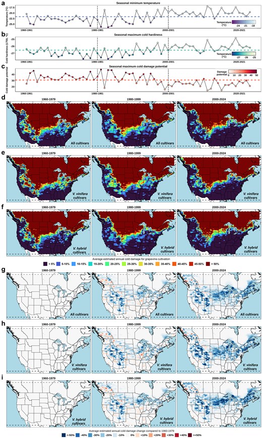 Quantification of the impact of climate change on grapevine cold damage in North America from 1960 to 2024. (a) Average seasonally minimum temperature across all the curated weather stations. The line in the middle represents the average of the 64 dormant seasons; (b) average seasonally maximum estimated cold hardiness of all cultivars in NYUS.2.1 at all curated weather stations; (c) average seasonal maximum estimated cold damage potential of all cultivars in NYUS.2.1 at all curated weather stations; (d) gridded estimation of averaged seasonal cold damage of all cultivars included in NYUS.2.1 in North America, segmented into three time windows: 1960–1979, 1980–1999, and 2000–2024; (e) gridded estimation of averaged seasonal cold damage of V. vinifera cultivars included in NYUS.2.1 in North America between 1960 and 2024; (f) gridded estimation of averaged seasonal cold damage of V. hybrid cultivars included in NYUS.2.1 in North America between 1960 and 2024; (g) gridded estimation of averaged annual cold damage change of all cultivars compared to 1960–1979; (h) gridded estimation of averaged annual cold damage change of V. vinifera cultivars compared to 1960–1979; and (i) gridded estimation of averaged annual cold damage change of V. hybrid compared to 1960–1979.