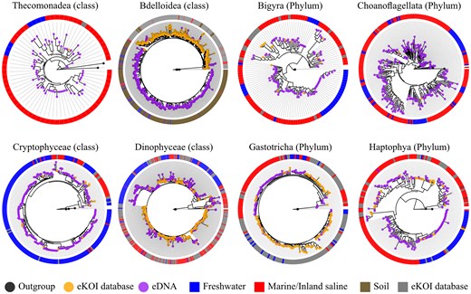 Phylogenetic trees obtained by combining sequences from the eKOI database of different taxonomic groups, with outgroups and eDNA OTUs. OTUs were obtained from similarity clustering of taxonomically reannotated ASVs from metabarcoding studies (Table 1). The circle surrounding each phylogenetic tree represents the environment of each OTU, sequences from the eKOI database are represented in grey, with the ecology not represented to reflect the newly characterized biodiversity for each taxonomic group