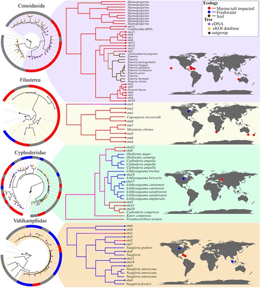 Phylogenetic trees obtained by combining sequences from the eKOI database of each taxonomic group and with outgroups. The eDNA OTUs were calculated and generated independently for each taxonomic group, with the IDs shared across groups. The circle surrounding each phylogenetic tree represents the habitat of each OTU, sequences from the eKOI database are represented in grey, to reflect the newly characterized biodiversity for each taxonomic group. From each taxonomic group, a part of the tree was selected from which the ancestral habitat was reconstructed, as an example. We also represented with dots on the map the origin of the different OTUs