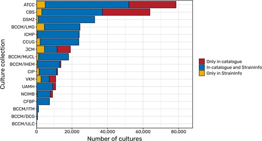 The caption describes what this image shows.