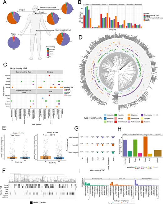 Example uses of The Microbe Directory (TMD) with external datasets. (A–C) Whole genome sequencing (WGS) data from the Human Microbiome Project (HMP). (A) Percentage of bacteria by Gram-staining in each body site. (B) Relative abundance of bacteria by their oxygen requirements across body sites. (C) Viral species in each body site and their potential host of origin according to TMD. (E–F) WGS data from MetaSUB project. (E) Correlations of relative abundance of halophile (salt-loving microorganism) and spore-forming bacteria in cities close to the beach. (F) Heatmap of bacteria and their potential host of origin according to TMD. (G–H) WGS from Sponge Microbiome Project. (G) Percentage of bacteria from different microbiomes according to TMD in the three sponge species. (H) Percentage of bacteria and their different types of metabolism present in the sponge microbiome. (I) Relative abundance of pathogenic fungi present in all three sponge species.