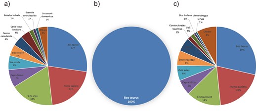 Host distribution of bacterial pathogens. (a) Brucella hosts: Bos taurus, H. sapiens, and O. aries are the primary hosts, reflecting zoonotic transmission routes. (b) Mycobacterium tuberculosis hosts: Bos taurus dominate, indicating limited host range. (c) Bacillus anthracis hosts: H. sapiens, Bos taurus, and environmental sources are key, showing broad host adaptability.