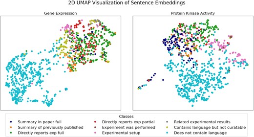 UMAP visualization of sentence embeddings for gene expression (left panel) and protein kinase activity (right panel). A detailed description of the sentence classes is reported in Table 1.