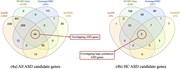 Distribution of genes among the four databases. These representations suppo...