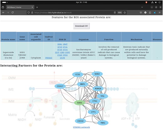 Database example output against the query—UniProt ID: ‘P00445’; returned in a tabular format (upper panel). Cytoscape-generated interactome image (lower panel).