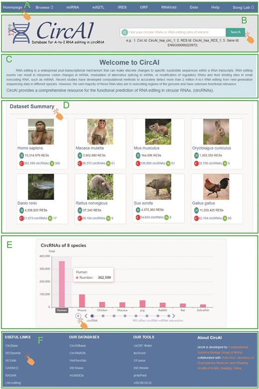 Comprehensive view of CircAI database.