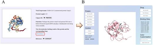 Screenshot illustrating an example of target exploration in the HCoVDB database. (A) Basic information on the SARS-CoV-2 protein NSP1. (B) Options to view detailed molecular docking results by selecting the drug ‘Montelukast’.