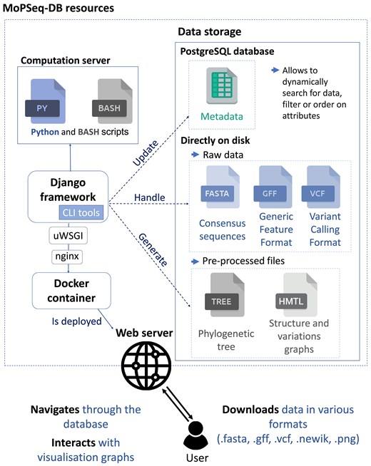 General organization MoPSeq-DB. Each genome is stored in a dedicated storage directory, which contains the assembly file (.fasta), the annotations file (.gff), and detected variations file (.vcf) directly on disk. Simultaneously, all associated metadata is stored in a PostgreSQL database.