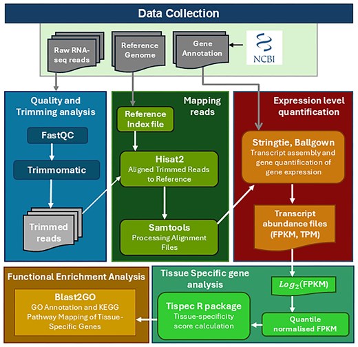 Workflow for the construction of the Cyprinidae Expression Atlas. A schematic overview of the analytical pipeline, detailing the key steps from raw RNA-seq data preprocessing, alignment to reference genomes, expression quantification (FPKM/TPM), coding potential estimation, functional annotation, and tissue-specificity analysis, culminating in the development of a comprehensive gene expression atlas for Cyprinidae species.