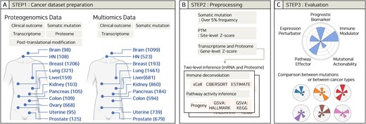 Workflow and scheme for the database. (A) Step 1: Dataset preparations. Data were collected from proteogenomics and multiomics datasets from multiple tissues and biological data types. The number of samples per tissue is shown in parentheses. (B) Step 2: Preprocessing. Data filtering criteria and tools used in the database. (C) Step 3: Evaluation. Five criteria for evaluating a single somatic mutation.
