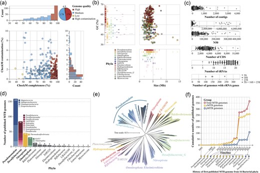 Overview of MTB genomic data in GdbMTB.