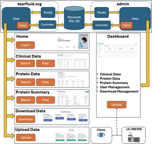 Overview of the TearFluid platform architecture. The top panel illustrates the model–view–controller (MVC) architecture of the TearFluid Database. Controllers query the Microsoft SQL database, process the data as models, and present them to users through views. Each page includes a set of interactive inputs that communicate with controllers to enable data querying. The Admin Dashboard provides a backend interface for developers to curate and manage site data.