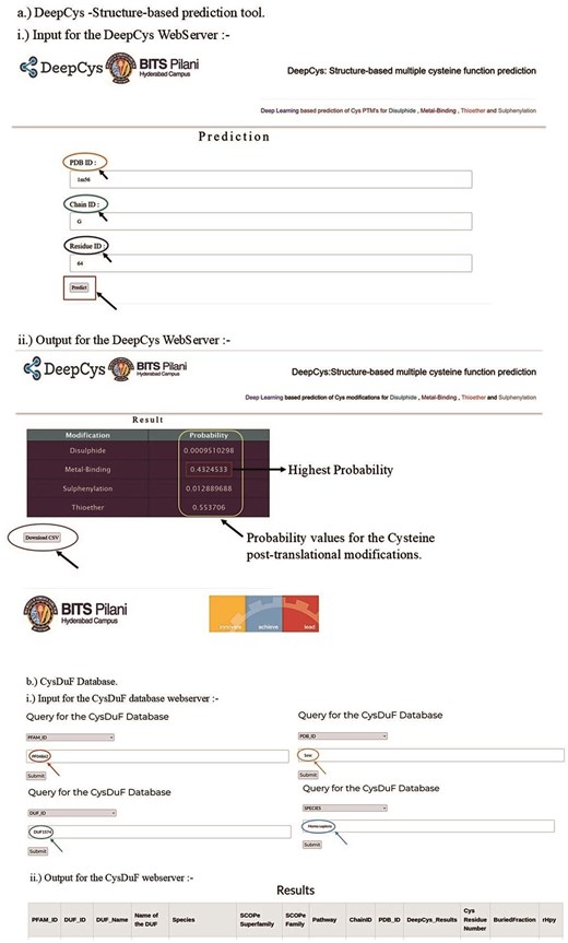 Web application for (a) DeepCys—structure-based prediction tool and (b) CysDUF database.