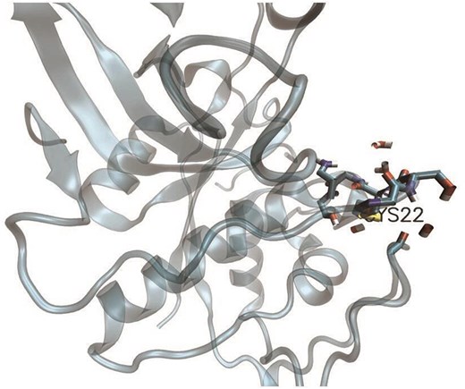 Depiction of cysteine (Cys22), part of a disulfide bridge (PDB ID:8PCH). Protein microenvironment (4.5 Å radius) around Cys22 is depicted, in stick representation. The protein background is shown as cartoon representation. The figure was generated using VMD software.