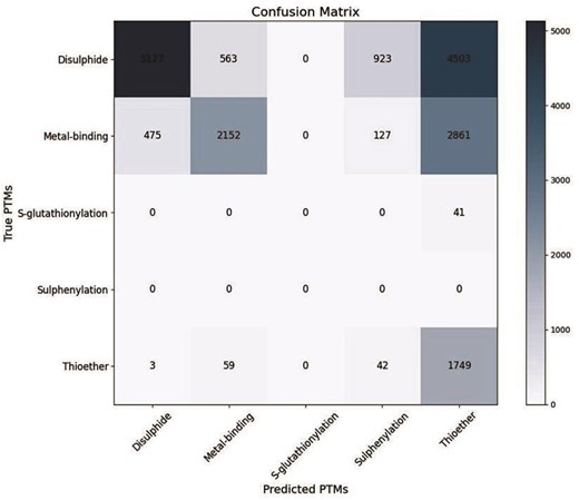 Confusion matrix to validate the predicted cysteine PTMs (using DeepCys software) with the experimental (PDB header file) observations. The heatmap indicates the range of cysteine numbers.