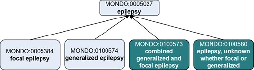 A hierarchical diagram illustrating the classification of ontology terms.