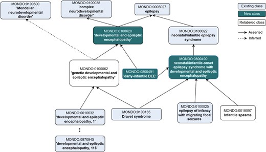 A hierarchical diagram illustrating the classification of ontology terms.