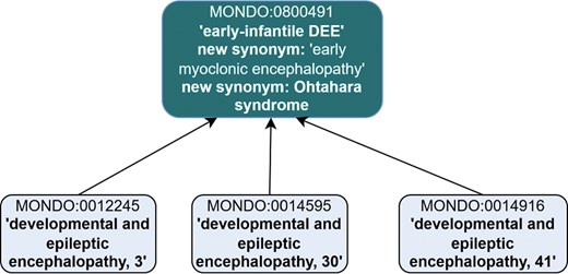 A hierarchical diagram illustrating the classification of ontology terms.