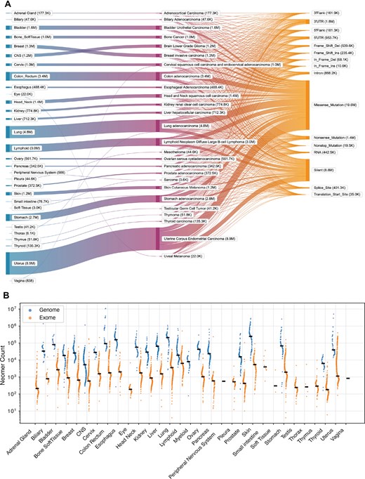 Statistics of neomerDB. (A) Sankey plot depicting the flow of exome neomers across 26 organs, 26 cancer types, and 16 variant classifications. Results are shown for neomers of 16 bp. In parentheses next to the tissue type, cancer type, and mutation category, the total number of nullomers detected is shown. (B) Neomer counts (16 bp) per patient across organs derived from genomes and exomes. The black line shows the median of neomer counts across patients.