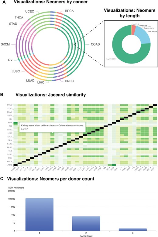 Dynamic, interactive tables displaying neomer profiles across genes and cancer types. (A) Conceptual overview of the neomerDB database interface. Coloured cursor symbols match the colour of their corresponding outlined view. (B–C) Interactive table and customizable query interfaces for (B) neomers and (C) patients. (D) View of neomer profiles for individual patients. (E) Neomer profile detailing the donors, organs, and cancers in which it has been identified.