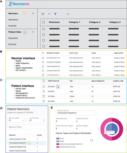 Interface of the visualizations offered by neomerDB. (A) Pie chart displaying the number of neomers identified per cancer type and (inset) across different k-mer lengths for a specific cancer type. (B) Heatmap displaying the Jaccard similarity index values representing the overlap between neomer sets across different cancer types. (C) Barplot displaying the number of neomers per donor.