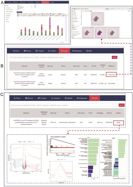 The pages of ‘Integration’, ‘Spatial’ and ‘Bulk’ modules. (A) The page shows 17 functions options of Integration. (B) The website displays the messages of collected spatial dataset, the red box and red line refers to the ‘Cirrocumulus’ platform which is equipped for the personized visualization of spatial transcription data. (C) The page represents settings of ‘Bulk’ module, the red box and red line refers to the ‘Detail’ items which links to a variety analysis of individual bulk RNA-seq data.
