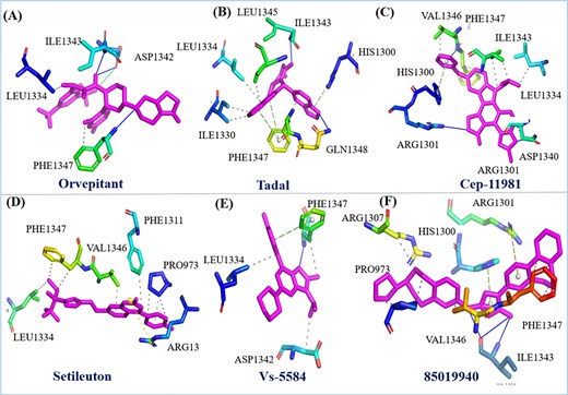 Represent the two-dimensional interaction of six drugs their binding pose and interacting residue with HMPV virus.