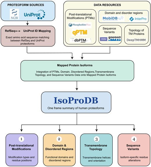 Schematic representation of the workflow, methods, and data sources involved in the development of IsoProDB.