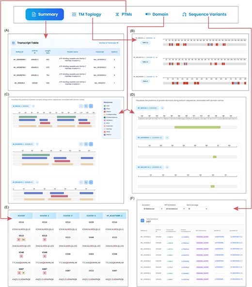 Overview of the IsoProDB web interface with subfigures A–F, illustrating protein isoform summary, topology (TMRs), domain/IDR features, PTMs, and sequence variants with corresponding visualizations of ABCC4.