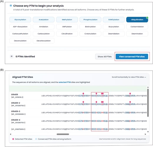 Figure illustrating the steps in PTM conservation analysis of ABCC4, including PTM selection, distribution and conservation of modification sites across protein isoforms, and their positions in the aligned sequence.