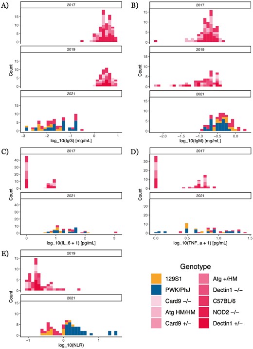 distributions of simple, widely employable immune quantities. Quantities were measured via ELISA (antibodies), bead-based assay (cytokines), and flow cytometry (neutrophil–lymphocyte ratio, NLR) (see Methods). Cytokine measures were not taken in 2019; NLR measures were not taken in 2017. Pink colors indicate mouse strains on a C57BL/6 background. (A) Total IgG concentration. (B) Total IgM concentration. (C)IL-6 concentration. (D) TNFα concentration. (E) NLR, broken down by genotype