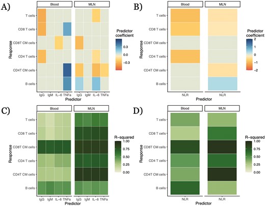 relationships between widely employable immune predictors and lymphocyte populations in complex models with other predictors. Other predictors in models were the year of the experiment, genotype (given as contrast with C57BL/6 WT), age of the mouse, and duration of time outdoors. Relative abundance of the target immune cell type is modeled via beta regressions, with the widely employable immune predictor log10-transformed. Color of a cell in A and B is the mean estimated coefficient value from the model; non-statistically significant relationships were given a coefficient value of 0 (the light gray-green color on the midpoint of our color scale). ‘CM’ in y-axis label stands for ‘central memory’. Complete numerical results in Supplementary Appendix S2. (A) Relationships between immune protein serum concentrations and lymphocyte types from complex models, broken down by tissue of lymphocyte type. (B) Relationships between neutrophil–lymphocyte ratio (NLR) and lymphocyte types from complex models, broken down by tissue of lymphocyte type. (C) R2 values for complex models of relationships between immune protein serum concentrations and lymphocyte types, broken down by tissue of lymphocyte type. (D) R2 values for complex models of relationships between NLR and lymphocyte types, broken down by tissue of lymphocyte type