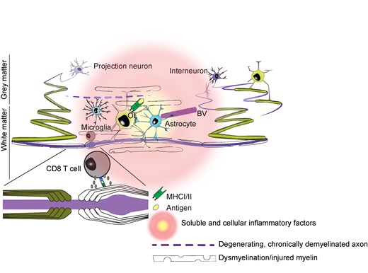 Graphical Abstract