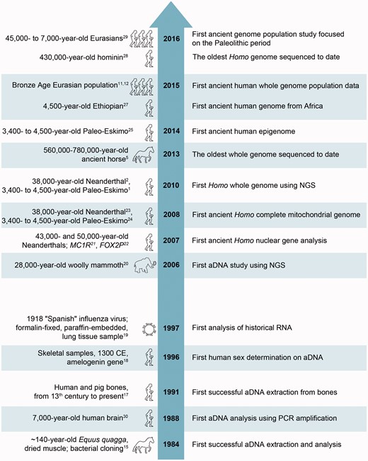 Major milestones of development of high-resolution ancient human genomics.