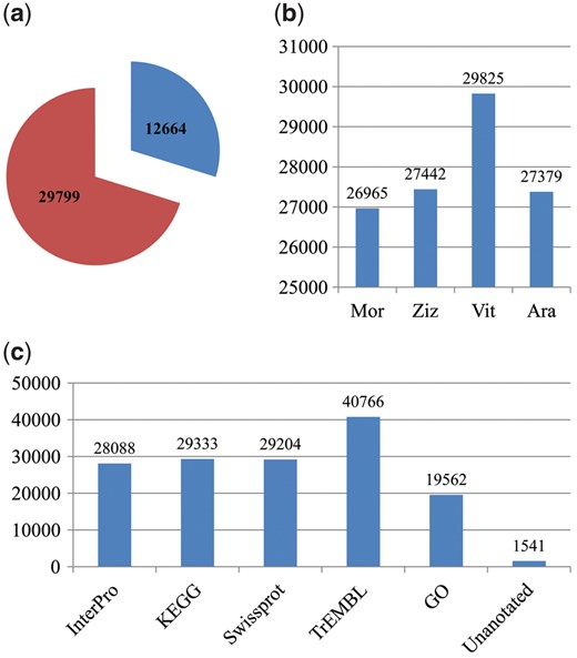Number of genes predicted and annotated. (a) Pie chart showing that there were 12,664 and 29,799 predicted genes with complete and partial encoding sequences, respectively. (b) Histogram showing the number of genes predicted that encode proteins that are homologous to the proteins in Mno, Zju, Vvi and Ath. (c) Number of genes that were functionally annotated in five public databases.