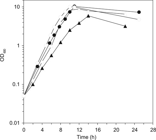 Growth of the wild-type and genome-reduced strain and their PabrB(ΔSA)-introduced derivatives. Growth curves of the wild-type strain (OA105, closed circles) and its PabrB(ΔSA) derivative (OA190, open circles), the genome-reduced strain (MGB874, closed triangles) and its PabrB(ΔSA) derivative (OA191, open triangles) grown in the minimal medium containing 10 g l−1 glucose are shown.