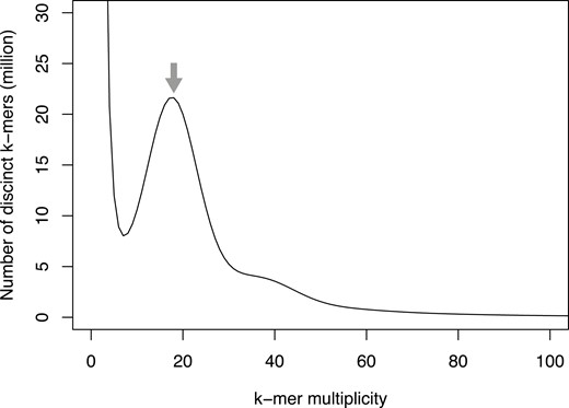 Estimation of the genome size of E. phyllopogon, based on k-mer analysis (k = 17) with given multiplicity values. The grey arrow indicates the peak used by estimation.
