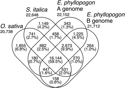 Venn diagram of the numbers of gene clusters in the A and B genomes of E. phyllopogon and two Poaceae species.