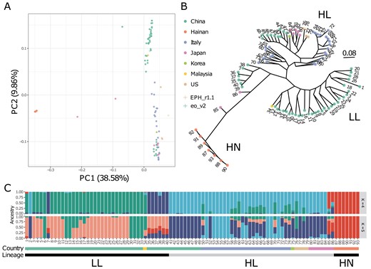 Genetic relationship for E. phyllopogon. (A) PCA, (B) phylogenetic tree using the maximum likelihood method, and (C) the genetic structure of K = 4 and 5. Dot colours in (A) and (B) were consistent with the horizontal bar colours in (C).