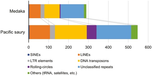 Content of the repetitive elements predicted in the Pacific saury genome. The abundances of the repetitive elements were compared to those in the medaka genome (Ensembl release 104), which were calculated by the same procedure as that employed for the Pacific saury genome.