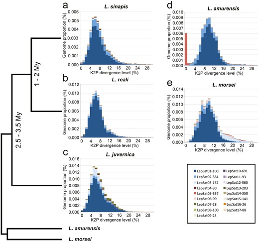 Repetitive satDNA landscapes (genome abundance versus K2P divergence), including the 17 identified satDNA families, of the 5 Leptidea species. (a) L. sinapis, (b) L. reali, (c) L. juvernica, (d) L. amurensis, and (e) L. morsei. Each satDNA family is represented by one colour. Note that for the 3 Western Palaearctic species, L. sinapis, L. reali, and L. juvernica, the peak of abundance tends to be on the left side compared to L. amurensis and L. morsei, indicating lower K2P divergence. The only exception is LepSat05-557 in L. amurensis. The time of divergence, if available, and the phylogenetic tree from previous studies55 (Talla et al. 2019) are shown on the left side of the panel.