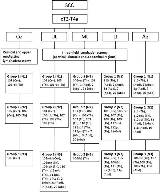 Recommended lymphadenectomy for esophageal squamous cell carcinoma. Based on the Japanese Classification of Esophageal cancer (11th edition), nodes from group 1, 2 and 3 are regarded as locoregional lymph nodes and should therefore at least be resected during lymphadenectomy.16 Ae, abdominal esophagus; Abd, abdominal lymph node stations; Ce, cervical esophagus; Cer, cervical lymph node stations; Lt, lower thoracic esophagus; Mt, middle thoracic esophagus; SCC, squamous cell carcinoma; Th, thoracic lymph node stations; Ut, upper thoracic esophagus;
