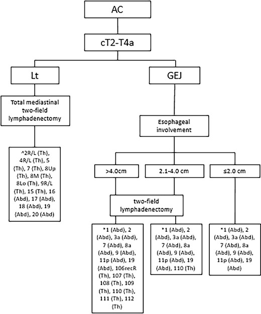Recommended lymphadenectomy for esophageal adenocarcinoma. Based on the ESMO guidelines for esophageal cancer, 8th edition AJCC/UICC staging of cancers of the esophagus and esophagogastric junction.27,54,67,77 Abd, abdominal lymph node stations; AC, adenocarcinoma; GEJ, gastroesophageal junction; Lt, lower thoracic esophagus; Th, thoracic lymph node stations. *According to the JES (11th edition),27 ^According to the AJCC (8th edition) Amin et al.,27 Obermannová et al.54 and Hagens et al.77