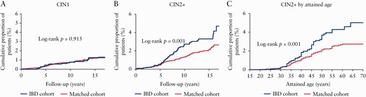 [A-C] Kaplan‐Meier estimates for CIN1 and CIN2+ lesions as worst diagnosis for the IBD cohort and matched cohort by years of follow-up and attained age excluding women with a primary abnormal screen. A: Proportion of women with CIN1 as highest grade of dysplasia during follow-up. B: Proportion of women with CIN2+ as highest grade of dysplasia during follow-up. C: Proportion of women with CIN2+ as highest grade of dysplasia by attained age. Attained age is defined as the age at diagnosis of CIN2+ or age at end of follow-up. CIN = cervical intraepithelial neoplasia. CIN2+ = CIN2, CIN3 or cervical cancer. IBD = inflammatory bowel disease.
