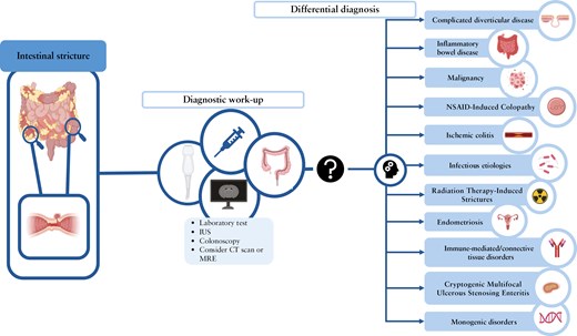 Graphical Abstract