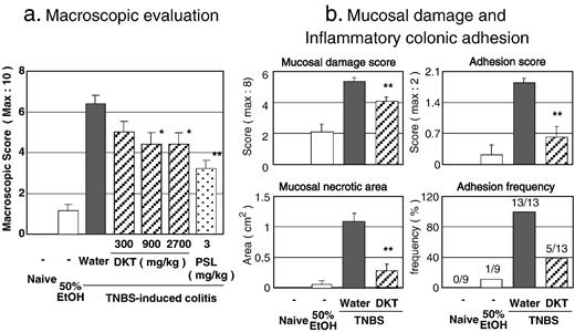  Protective effect of DKT on 2,4,6-trinitrobenzenesulfonic acid (TNBS)-induced colitis model. Macroscopically visible damage was evaluated 3 days after TNBS instillation. (a) Colitis was scored on a 0–10 scale, which was a sum of the mucosal damage score (0–8) and the colonic adhesion score (0–2). DKT (300, 900, or 2700 mg/kg) was given orally 8, 24, 32, 48, and 56 h after TNBS instillation. N = 9. (b) DKT was given orally at 900 mg/kg. Clinical severity was monitored by mucosal damage score, necrotic area of colonic mucosa, adhesion score, and adhesion frequency. N = 9 (naive and 50% EtOH), 13 (colitis groups). *, **: P < 0.05, 0.01 versus TNBS/water (colitis control), respectively. 