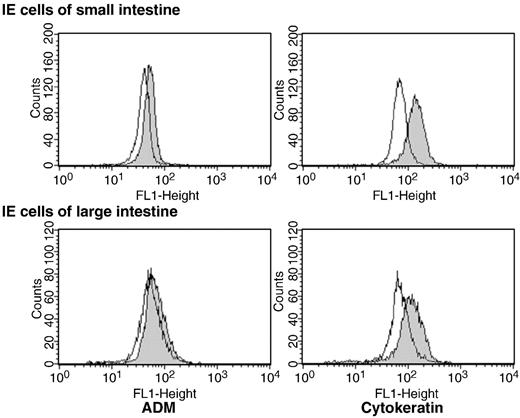 Phenotypic characterization of IE cells from small and large intestines. IE cells isolated from small and large intestines of normal mice were enriched using density gradient centrifugation and analyzed by flow cytometric techniques. Adrenomedullin (ADM) and cytokeratin were stained with the respective specific antibody (grey histograms) after cells were suspended in Cytofix/Cytoperm solution. Isotype controls are shown as open histograms.